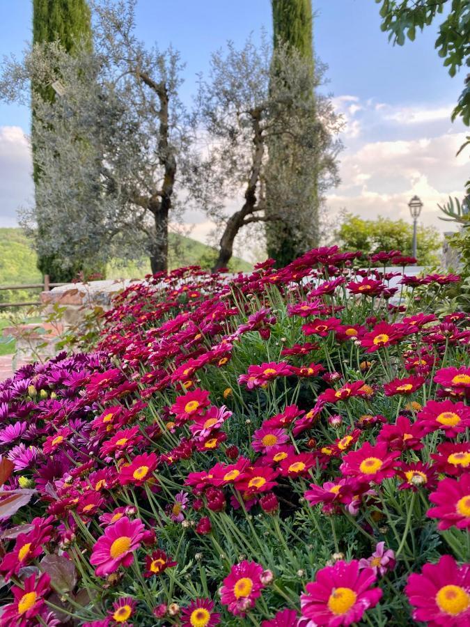 Agriturismo Belagaggio Montefollonico Esterno foto