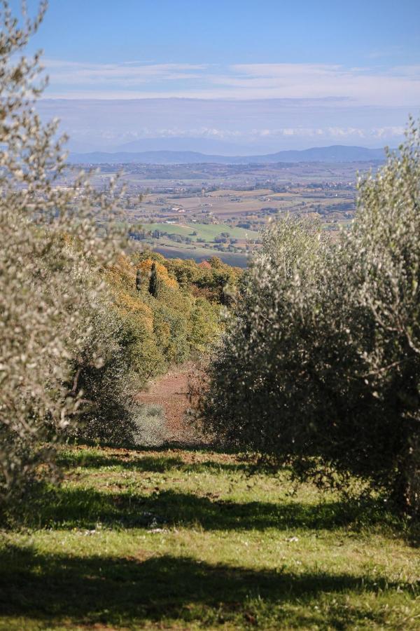 Agriturismo Belagaggio Montefollonico Esterno foto